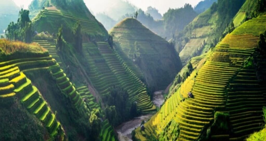 Tonkinese Alps, with rice terraces