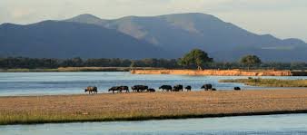 Mana Pools Zimbabwe