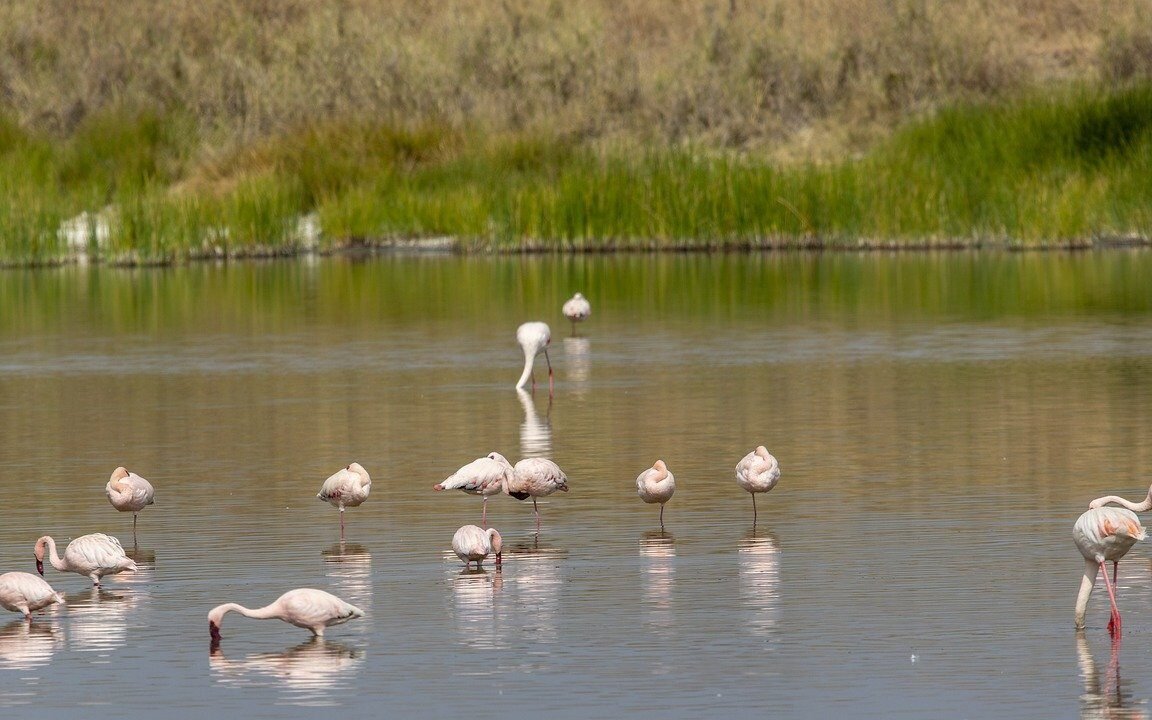 serengeti national park