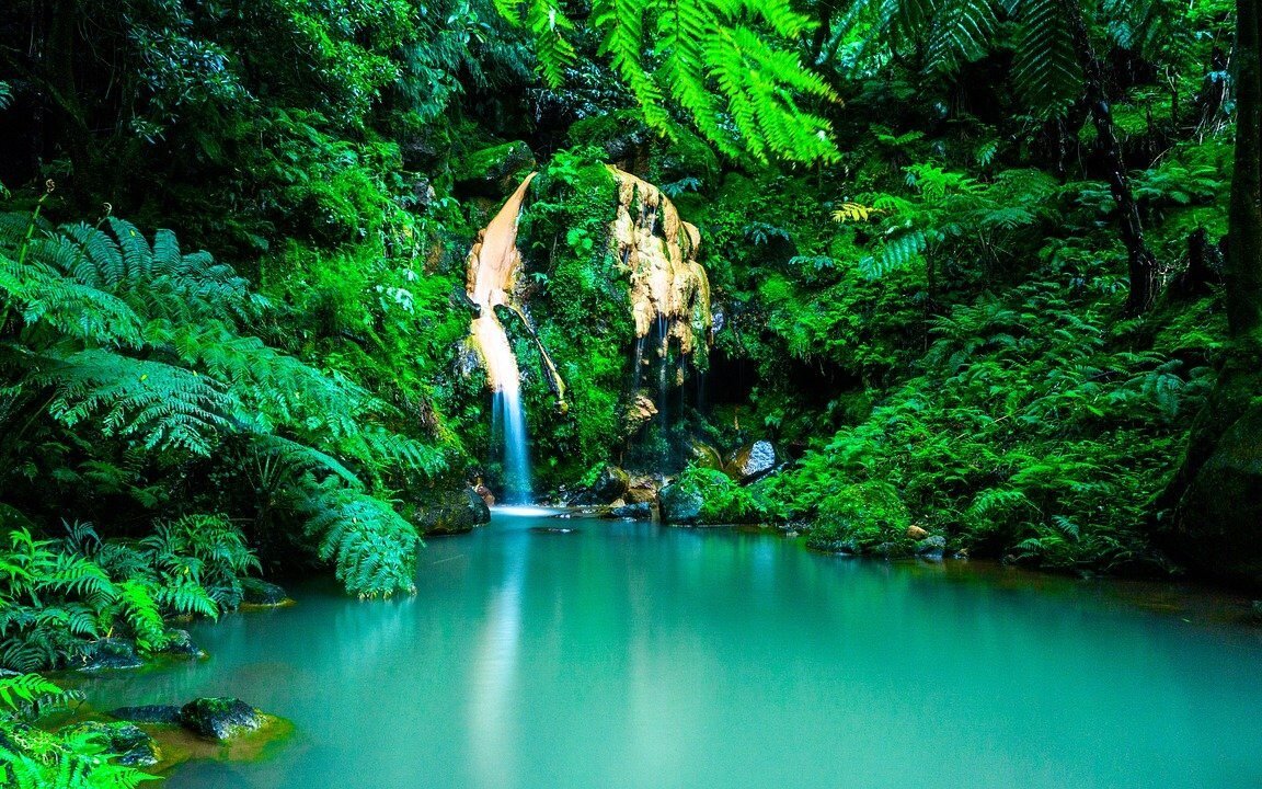 azores-waterfall-oasis-forest