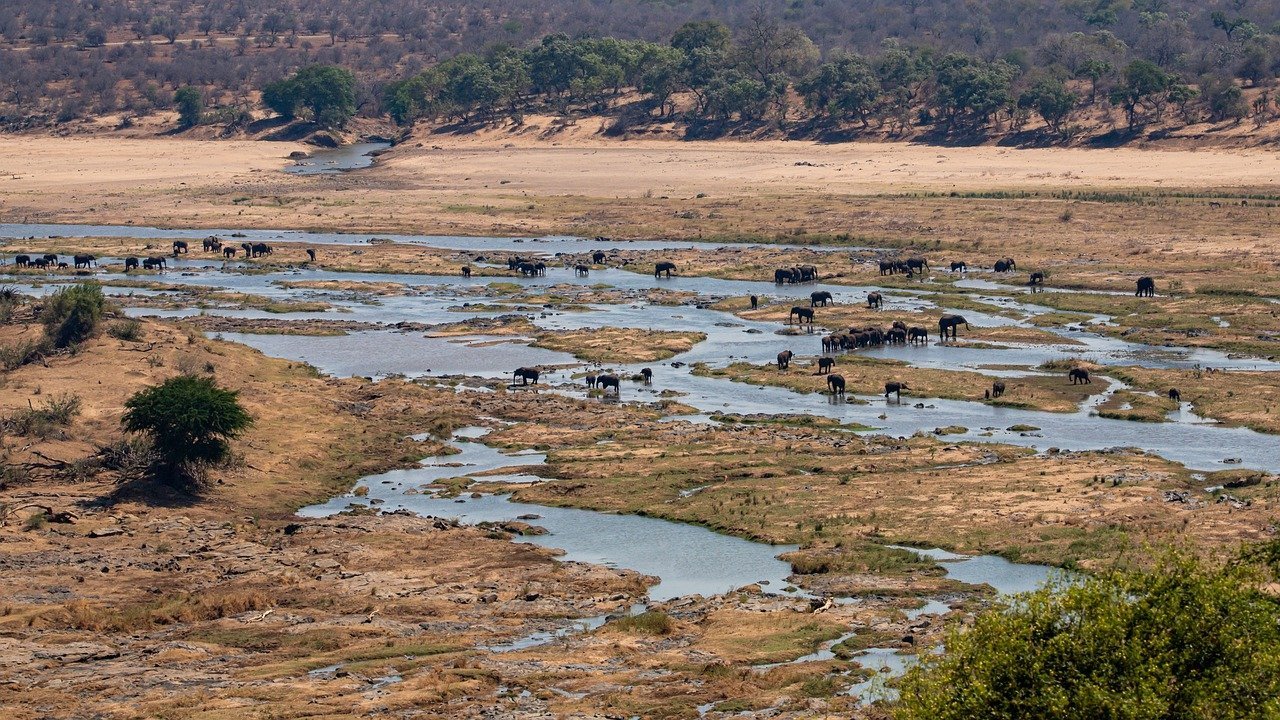 South Africa Safari