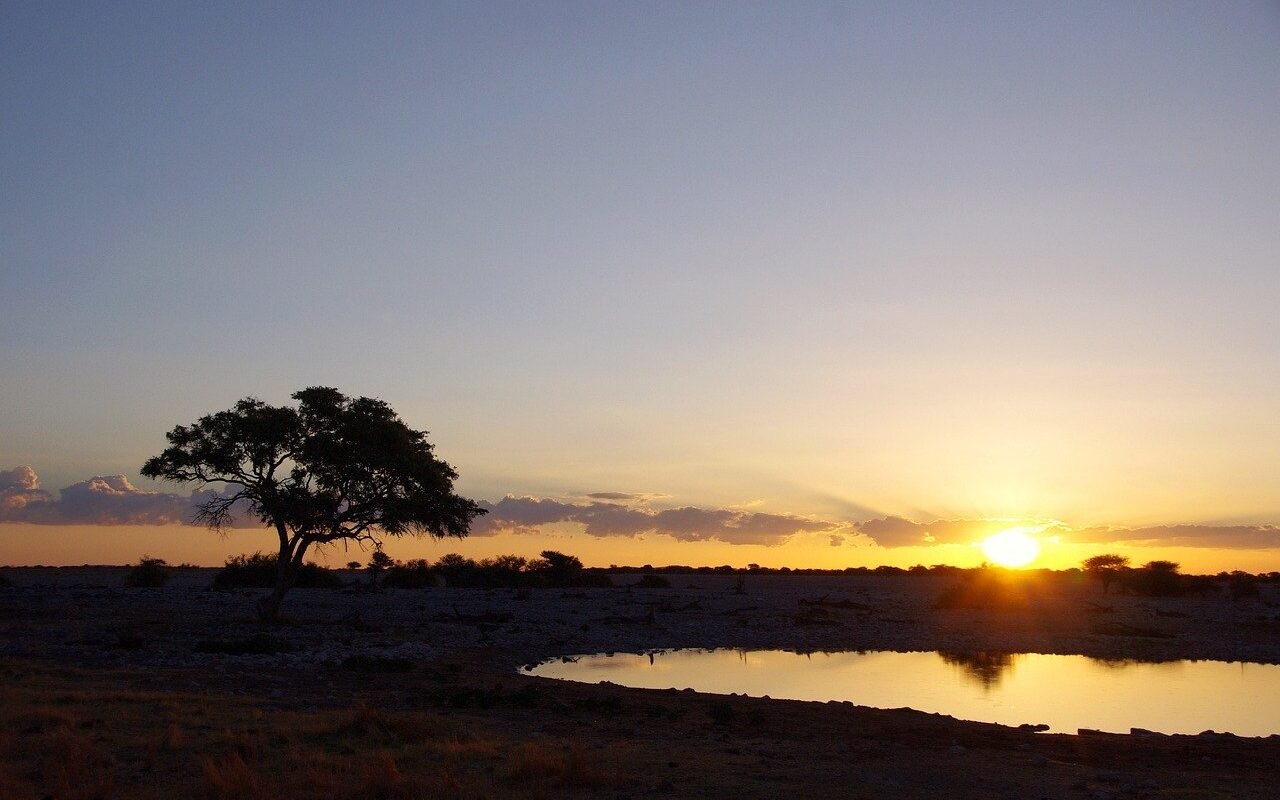 etosha-national-park