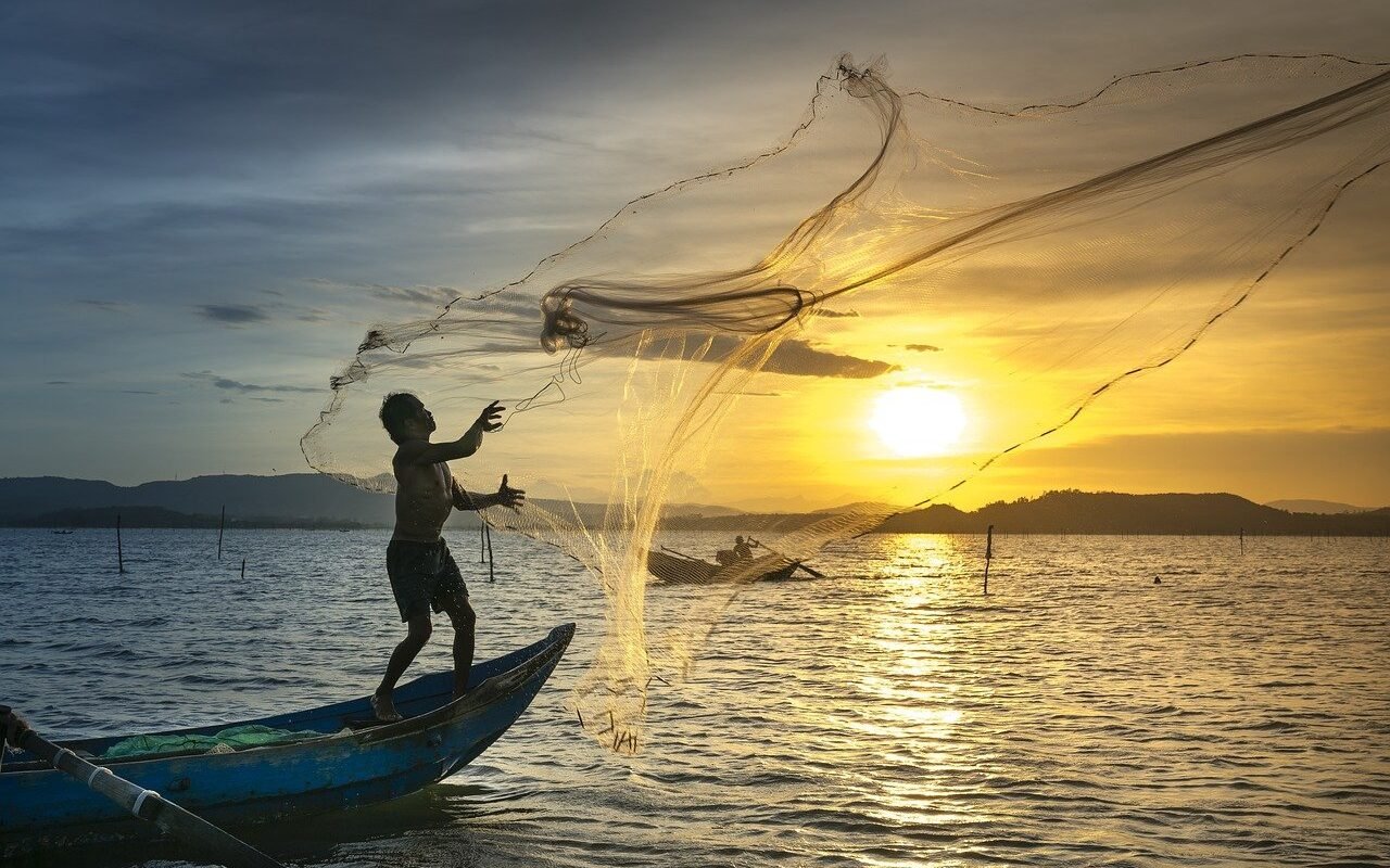 Vietnam to discover
