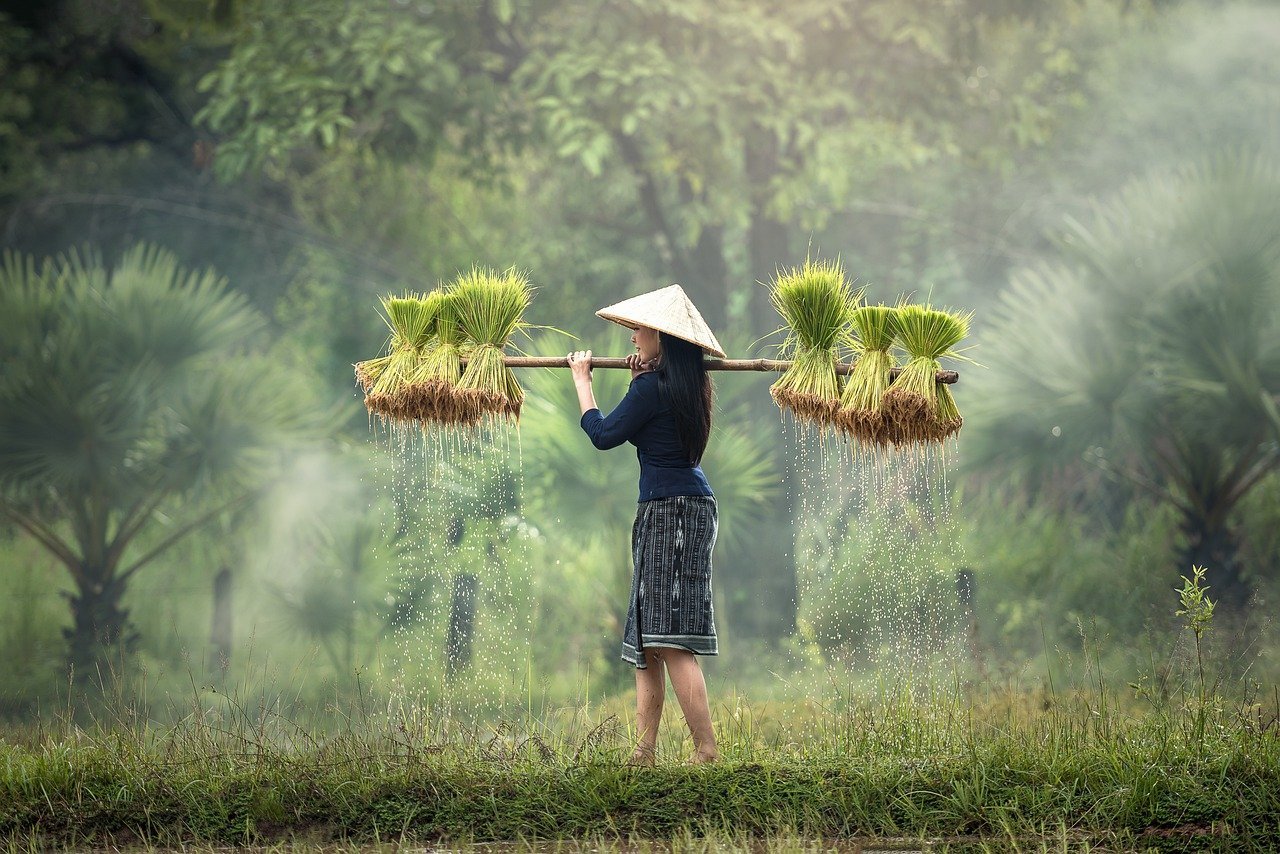 Discover-Malaysia