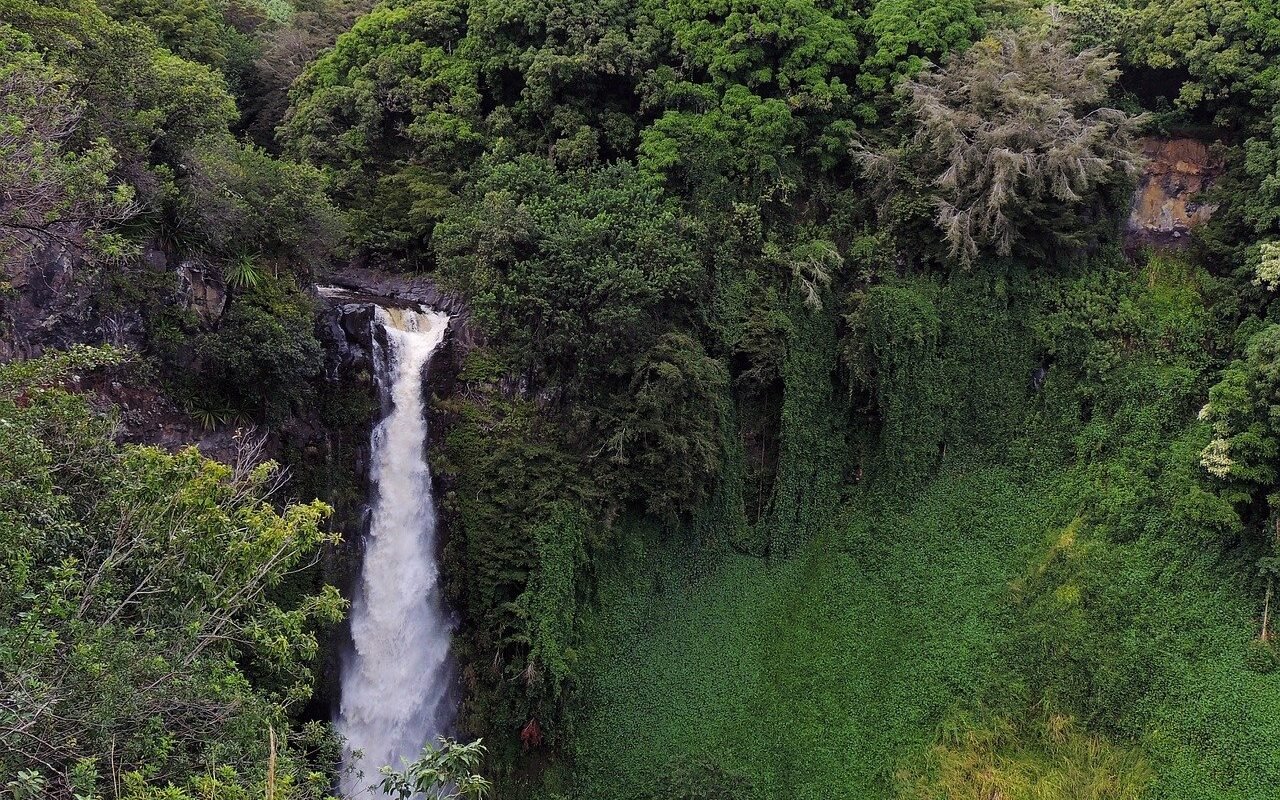 hawaii-waikiki-falls