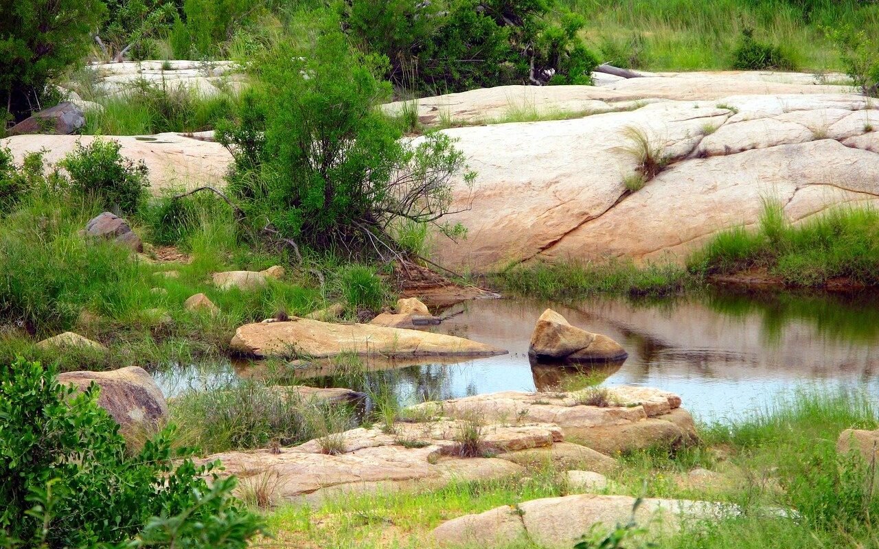 kruger-national-park