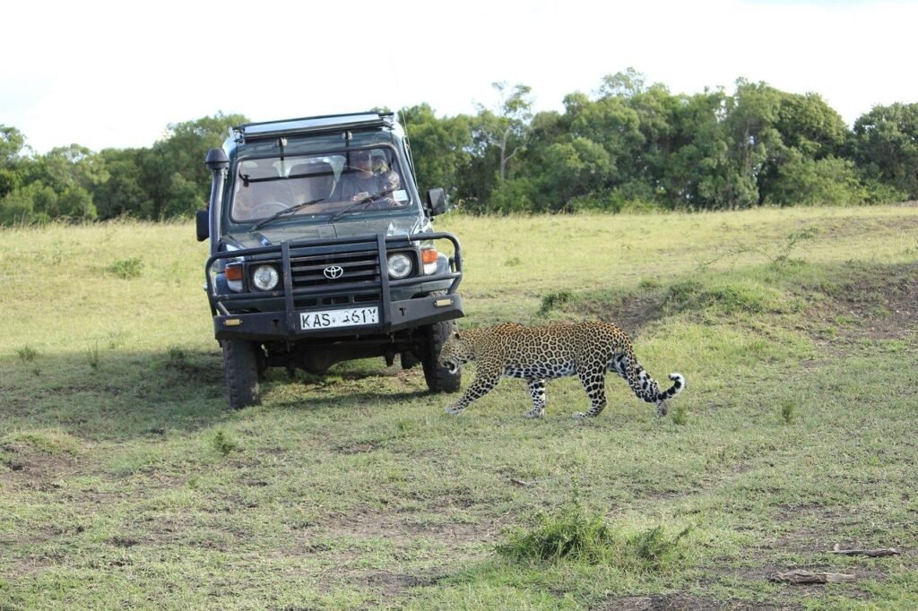 masai-mara-experiences