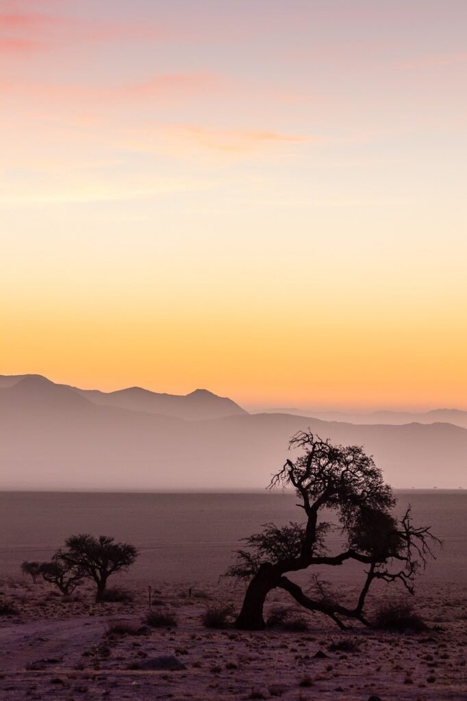 discover namibia