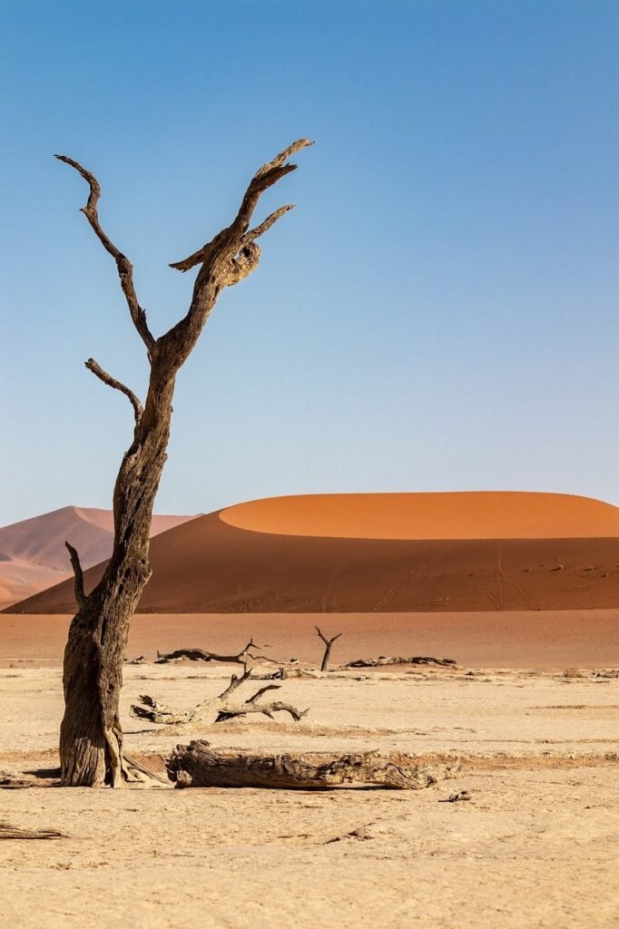 discover-namibia