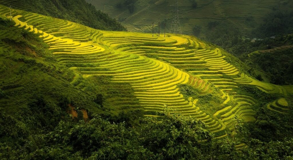 nature-sapa