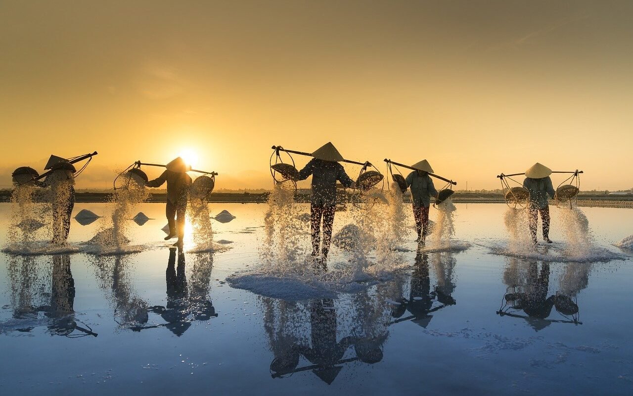 salt-harvesting-vietnam