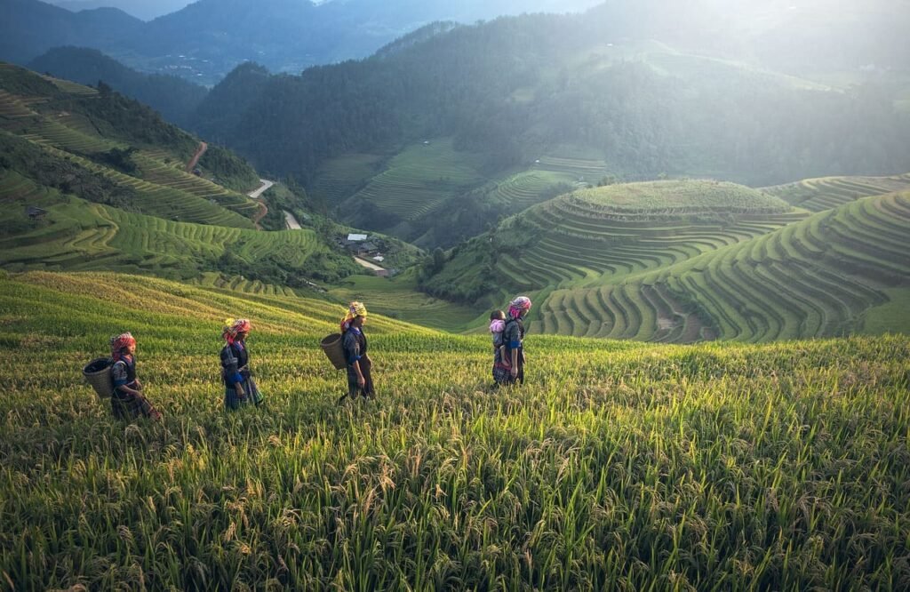 Bali Ubud