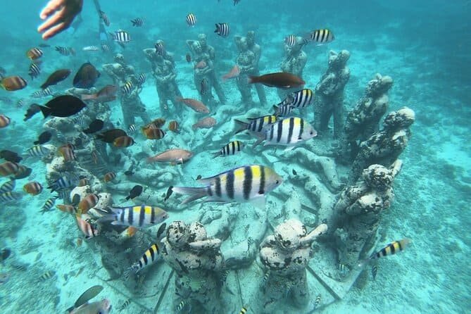Gili Underwater