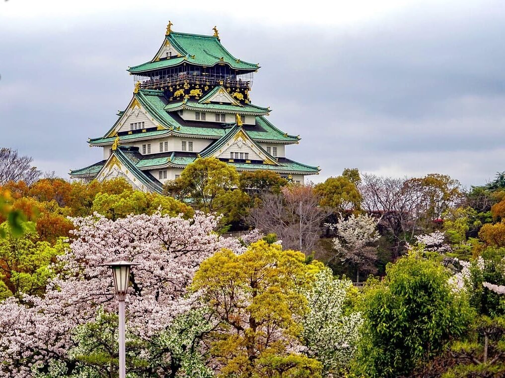 cherry-blossoms-japan