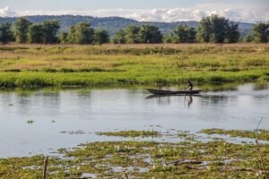 Africa Safari Experience