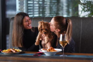 Pet Friendly Restaurants in San Diego