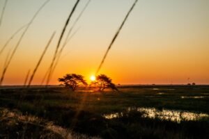 Sunset Zambia Safari