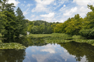 Tivoli Park Pond, Rome