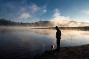 Travel Tips for pets owners