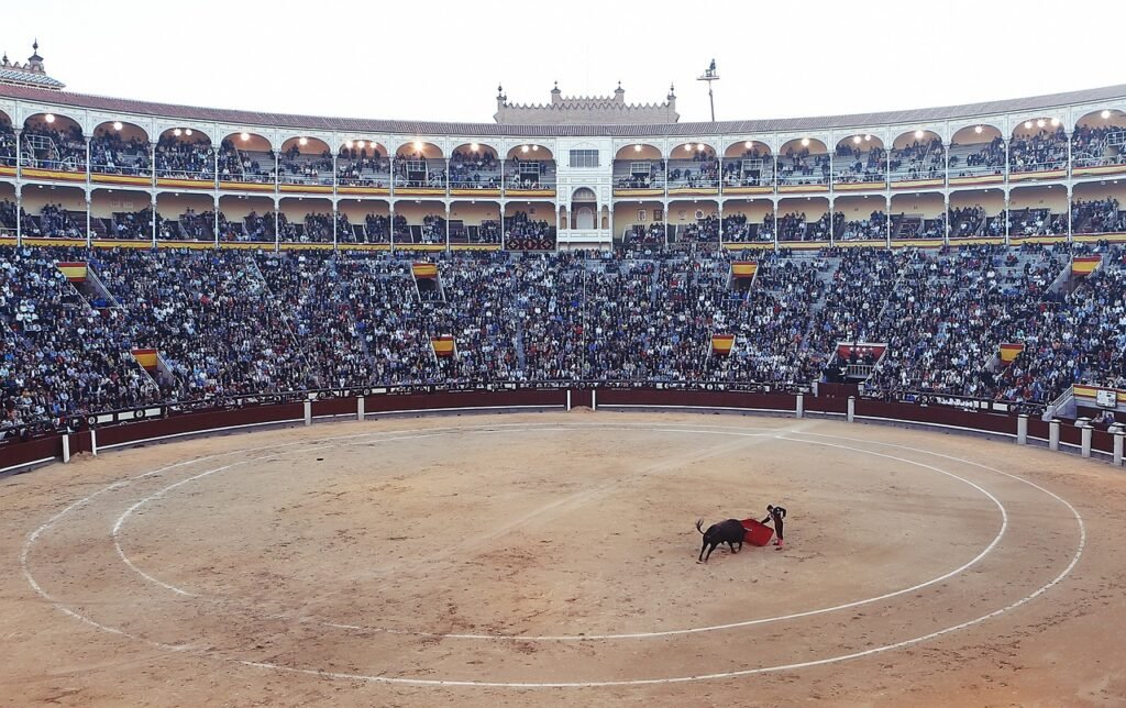 Bullfight Madrid