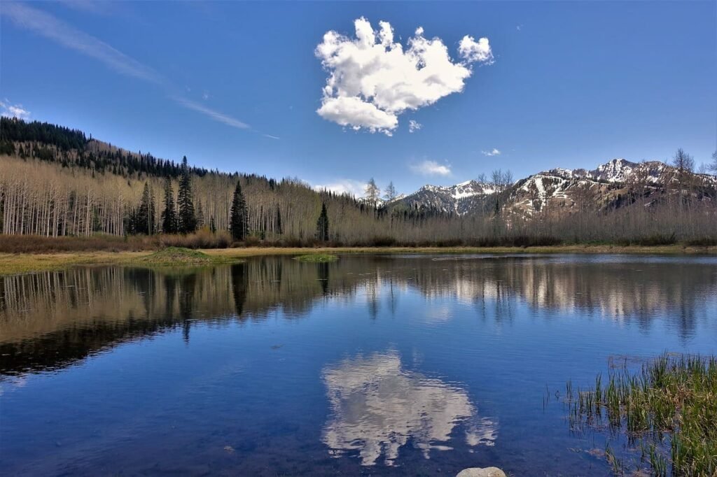 Aspen, Colorado