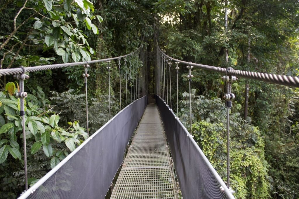 Monteverde Cloud Forest, Costa Rica