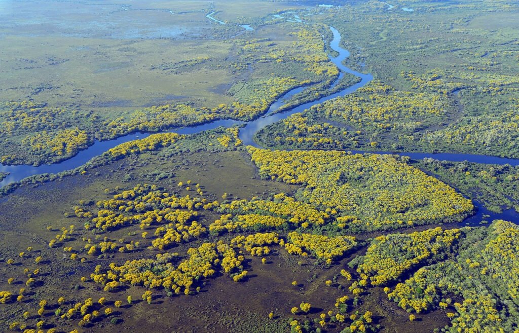 Pantanal, Autumn Wildlife Destinations