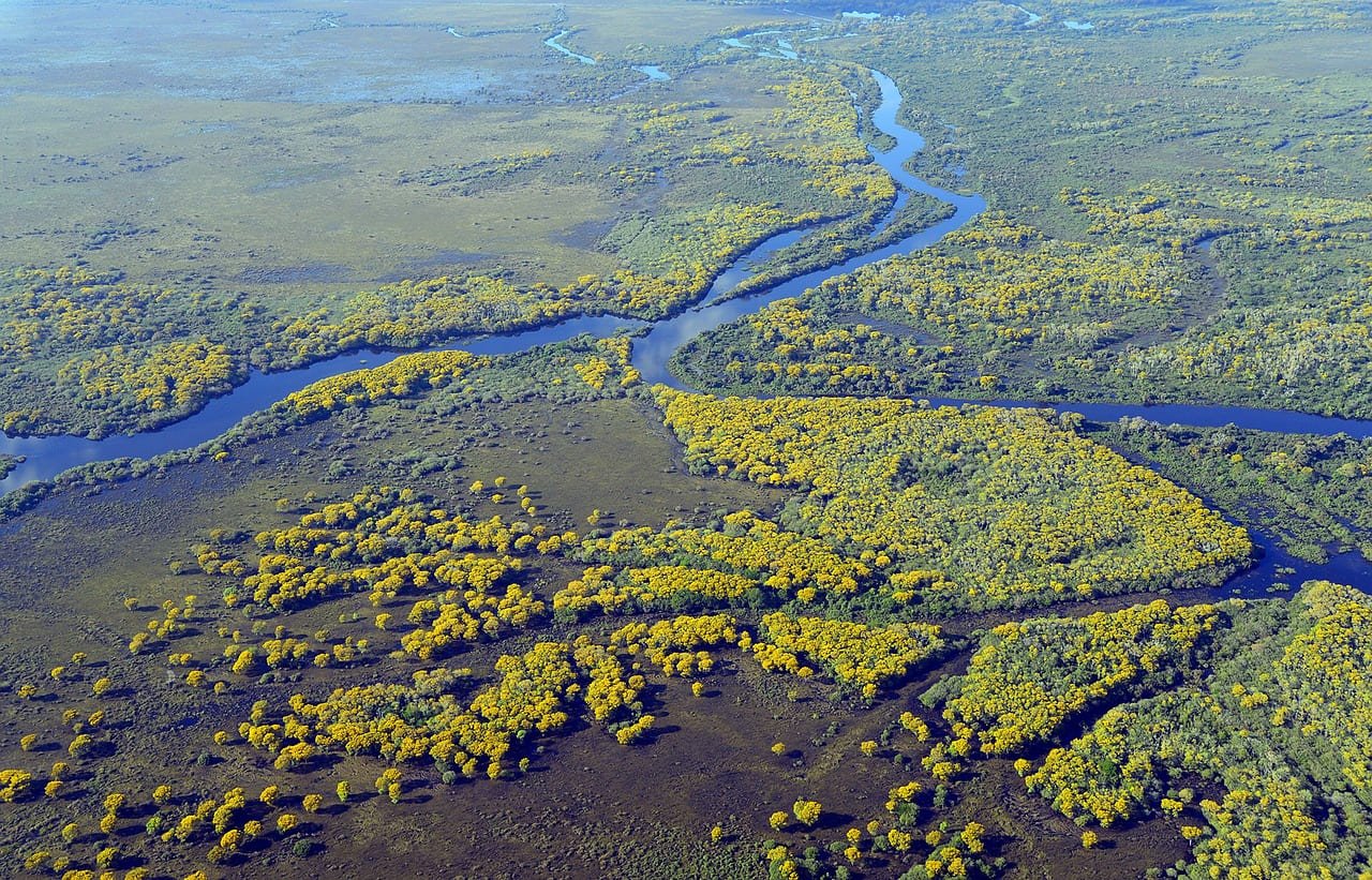 Pantanal, Autumn Wildlife Destinations